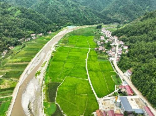 镇安县月河镇西川村：传统农业与现代产业融合，绘就乡村振兴新画卷  第1张