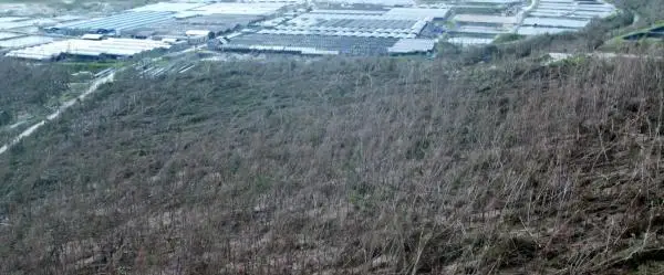台风过境后，海南水产养殖户损失超 64 亿！他们该如何生存？  第1张