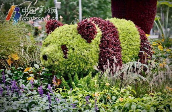 7 米高瑜伽熊猫、6 米高可爱玉兔现身宁波，快来打卡  第5张