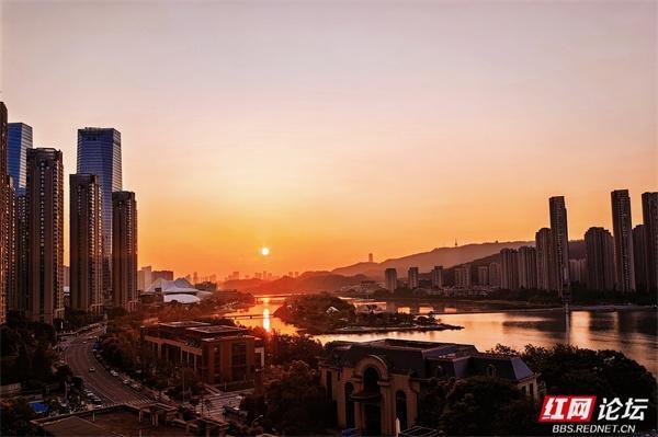 反常天气下，桂花为何迟迟不开？昨日却突然香飘满园  第5张