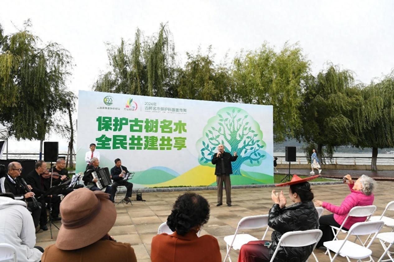 重阳节！央视网消息：昆明古树名木保护科普宣传周活动启动