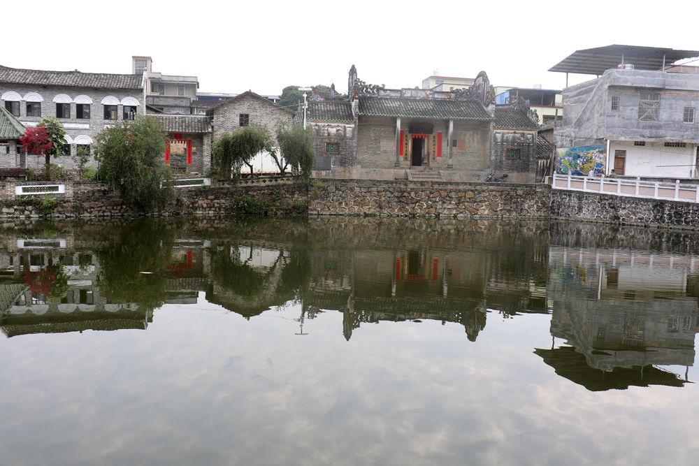仲秋时节走进玉林市容县，探寻生态强县建设的成功秘诀  第2张