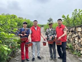 高温天气、人手短缺，2 亩果园面临困境，香溢志愿者如何助力果农破局？  第1张