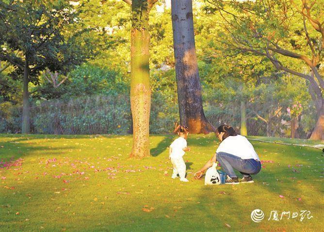 台风桃芝来袭！厦门天气阴晴多变，气温起伏大，你准备好了吗？  第2张