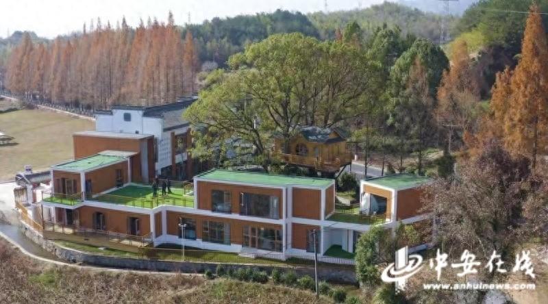 投资 700 万！黄山这个长在树上的两层小楼，为何能吸引众多游客？  第1张
