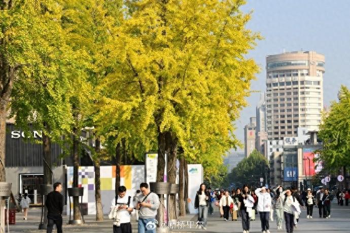 11 月竟有三个台风！杭州天气将回暖，最高气温可达 26℃，但需警惕大雾