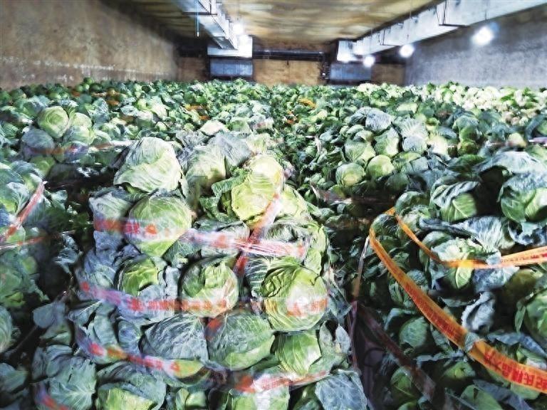 兰州市政府 1 万吨冬春蔬菜已全部收储到位，保障民生稳定市场价格