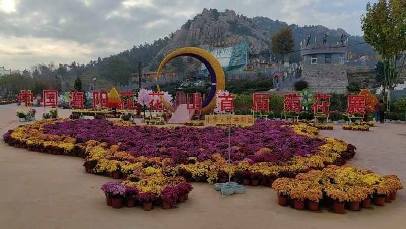 11 月 10 日，万人齐聚花花山景区，只为目睹这场独特的秧歌演出  第3张