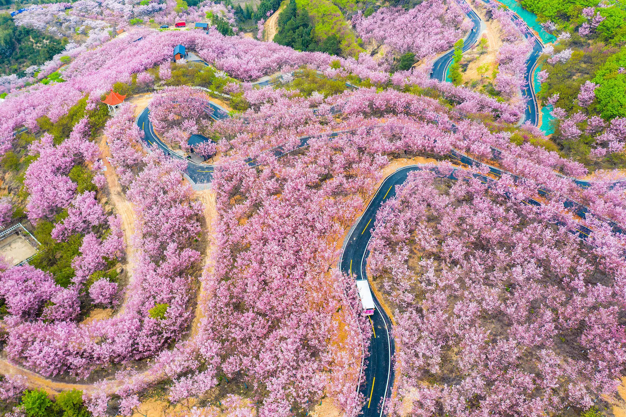 第十九届海峡两岸林博会盛大举行，展品琳琅满目，现场观展人数达 25 万人次  第4张
