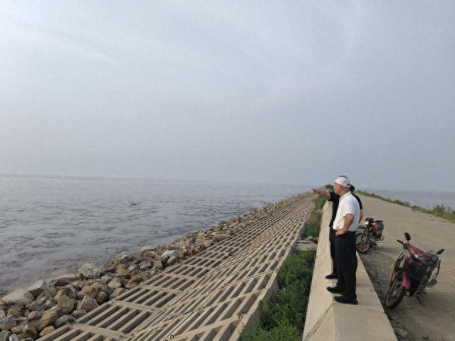 滨州成功治理互花米草，守护滨海湿地生态安全