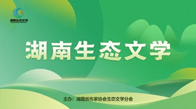 桐花之恋：清明前后，乡野中的璀璨之花，你可曾见过？