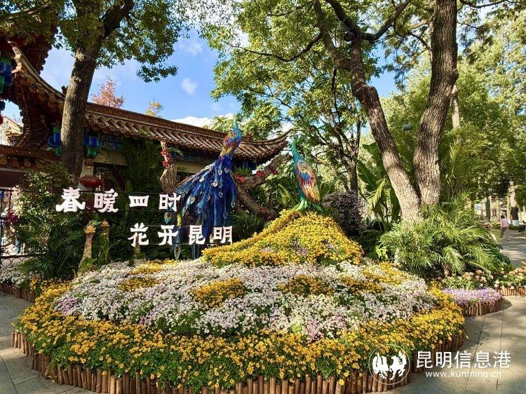 翠湖大动作！步道改造引热议，昆明人快来看看  第4张
