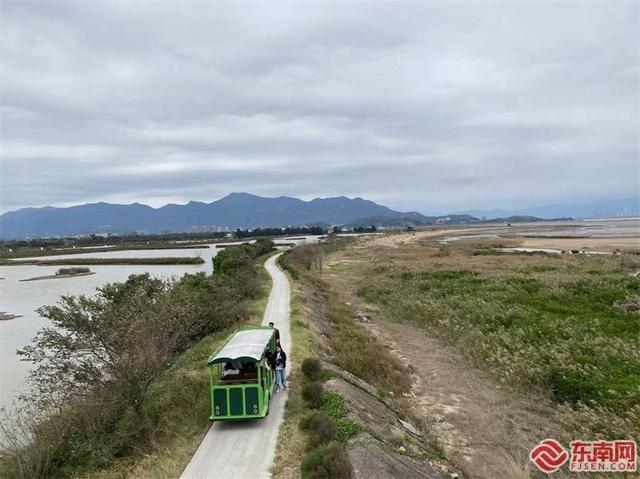 闽江河口湿地为何成为鸟类乐园？福建首宗复合型自然资源确权登记实地探访  第2张