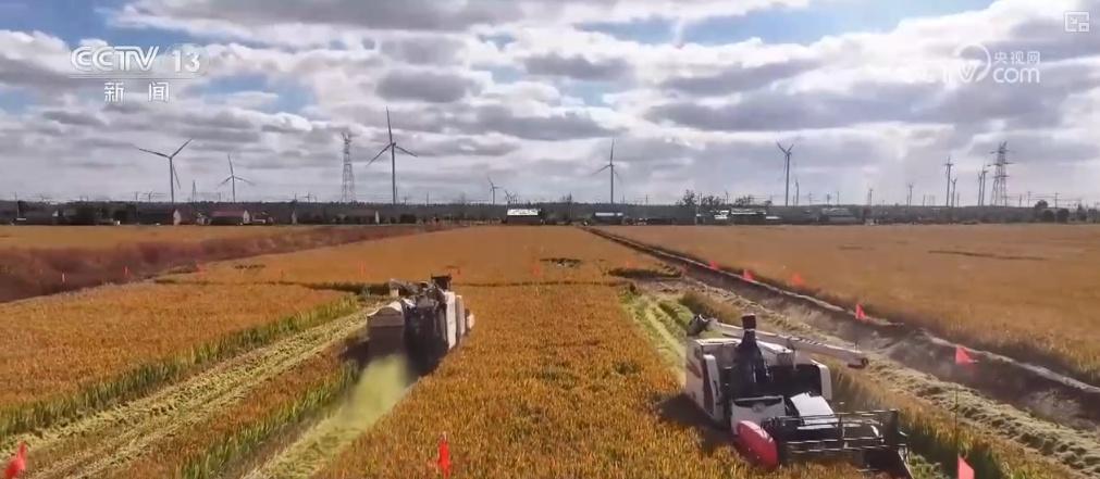 江苏耕地总量连续三年净增 96 万亩，它是怎么做到的？  第7张