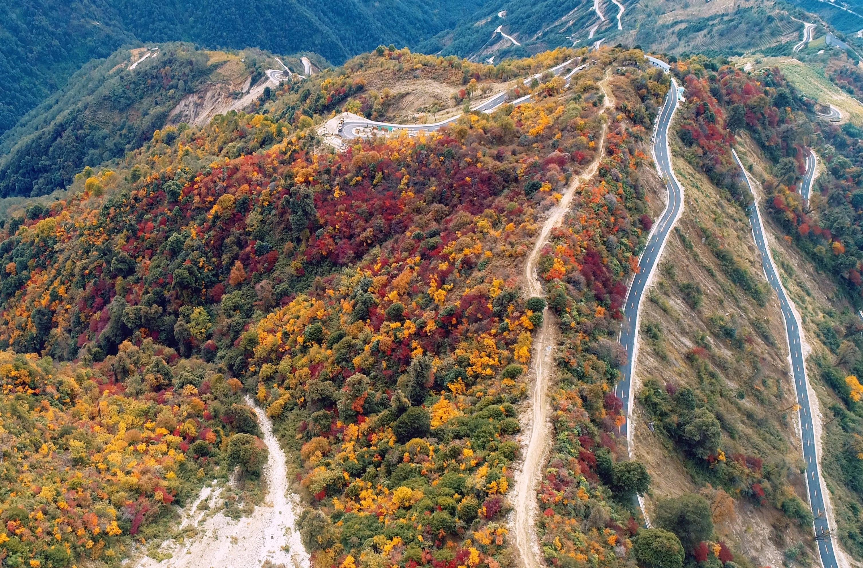 那远山呼唤我：怒江深秋的美拉德童话世界，你敢来吗？  第5张