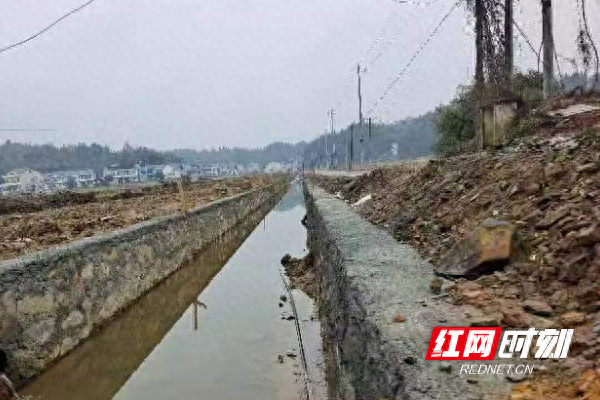 830 万投资！桃江县武潭镇 6 村高标准农田建设年底完工，助力农业高质量发展