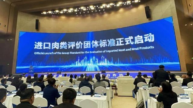 500 余人齐聚滨州！2024 牛肉贸易合作发展大会盛大举行，共商行业新机遇  第5张