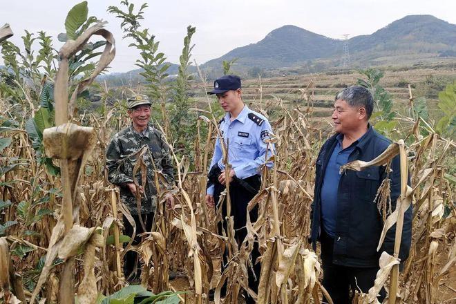 日照公安：守护秋收，打造实实在在的安全感  第4张