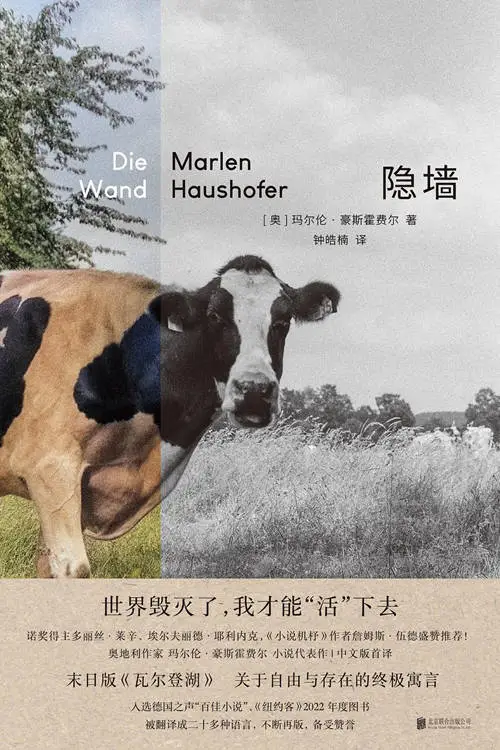 隐墙：小说与电影的碰撞，你更偏爱哪一个？  第2张