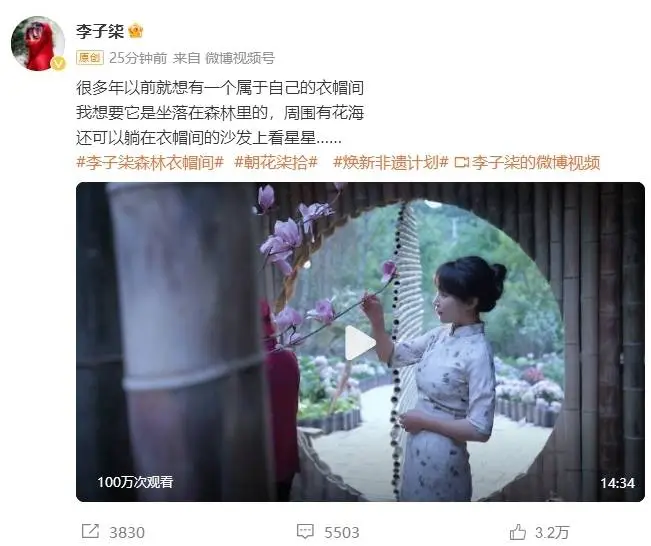 时隔 3 年，李子柒回归！视频播放量超千万，她的衣帽间竟然在森林里？  第1张