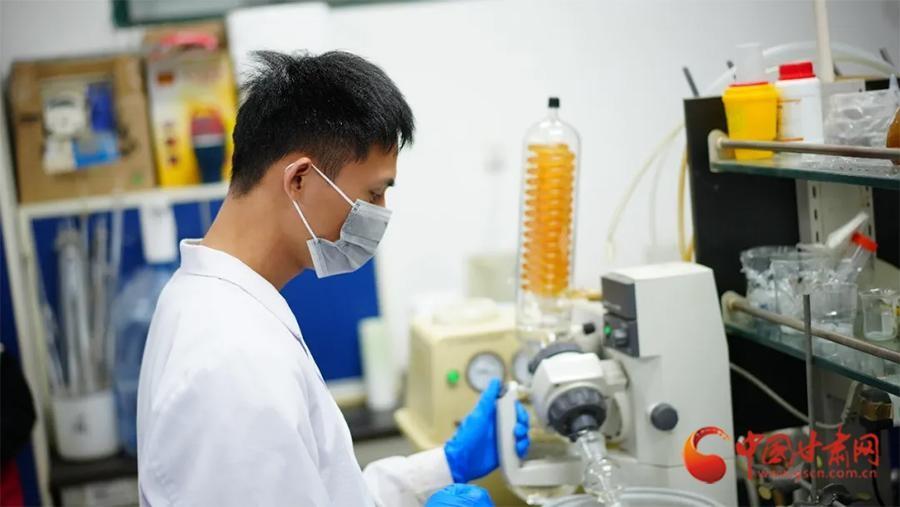 15 年磨一剑！兰州大学研发的沙棘绿豆咀嚼片获国家保健食品批件  第2张