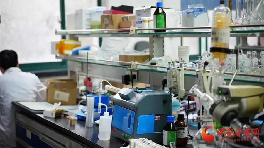 15 年磨一剑！兰州大学研发的沙棘绿豆咀嚼片获国家保健食品批件  第3张