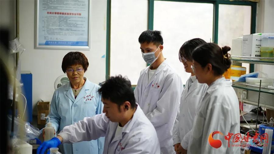 15 年磨一剑！兰州大学研发的沙棘绿豆咀嚼片获国家保健食品批件  第4张