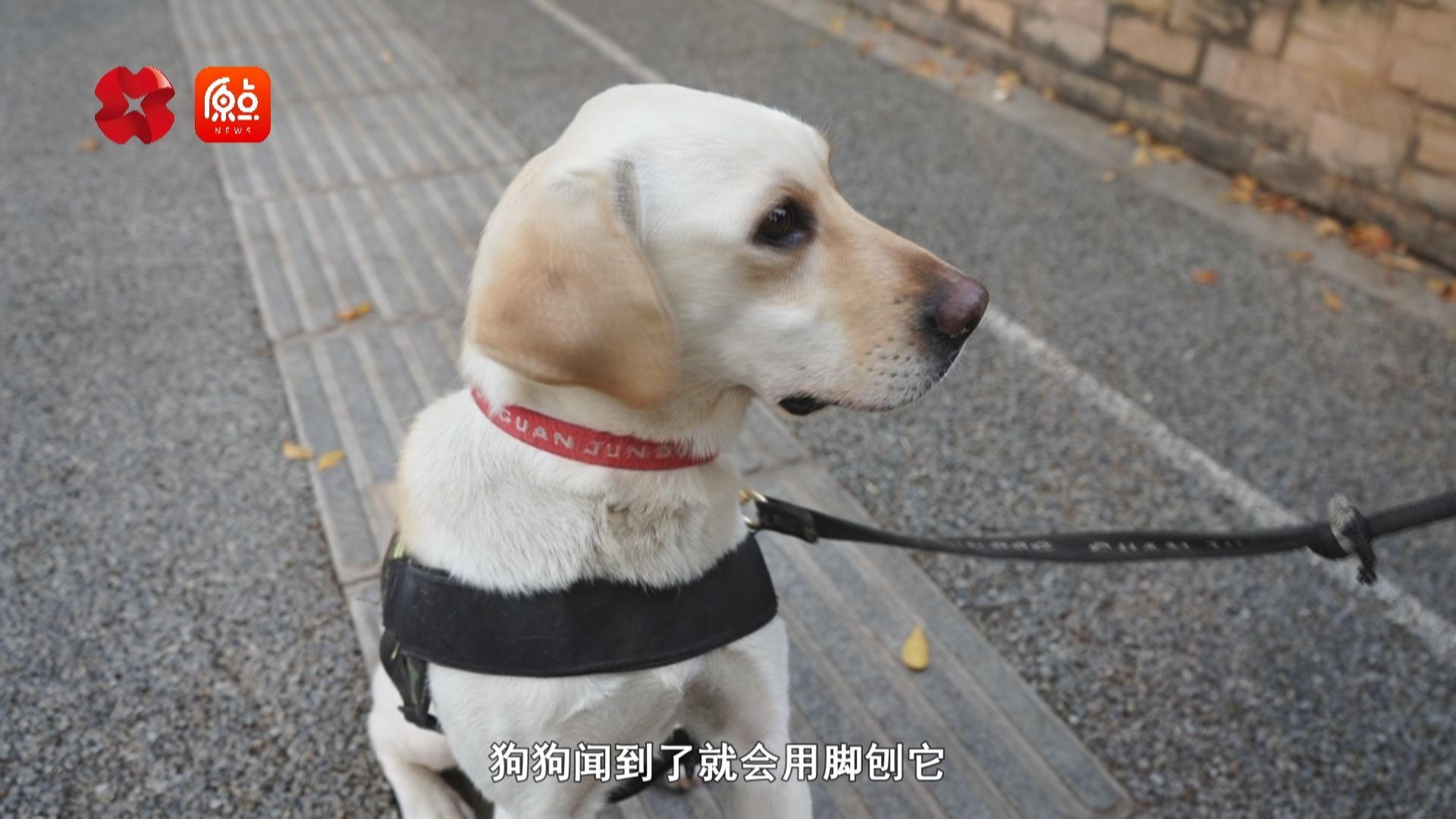 西安秦华燃气集团多措并举，全力保障冬季供气  第5张