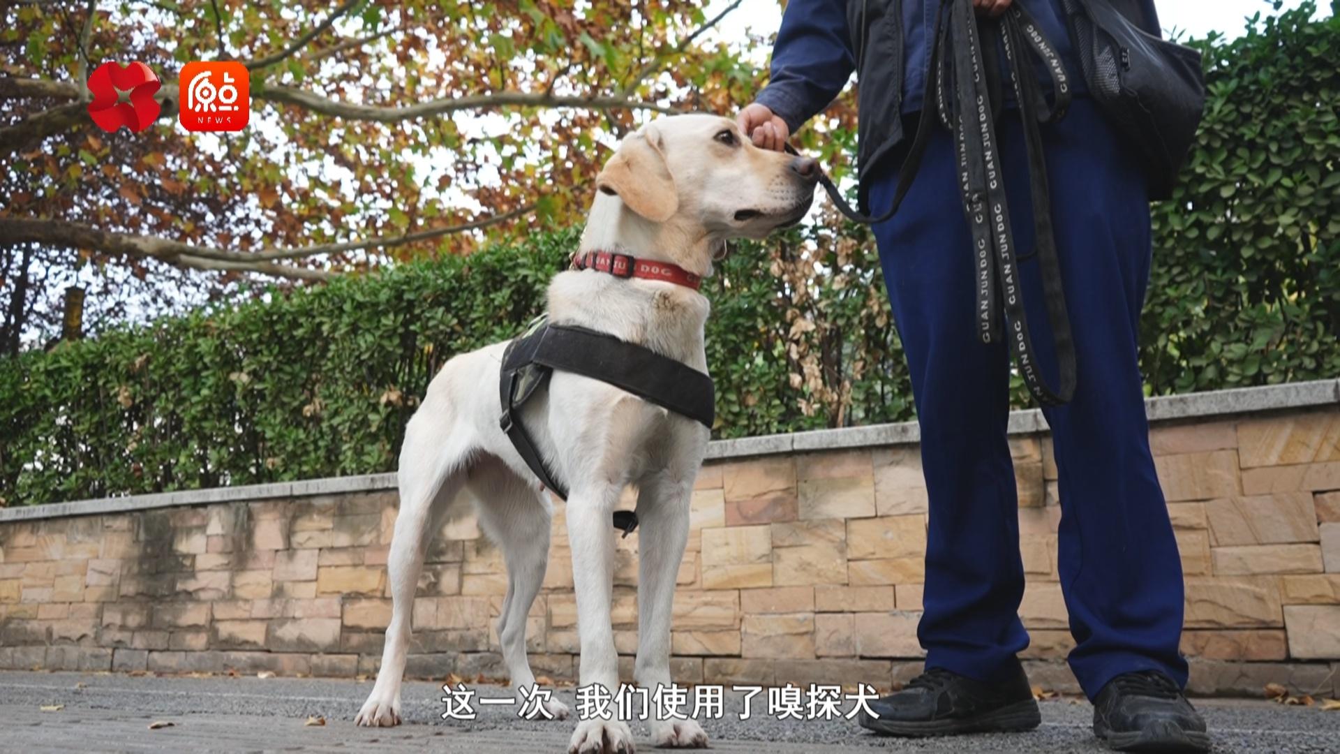 西安秦华燃气集团多措并举，全力保障冬季供气  第6张