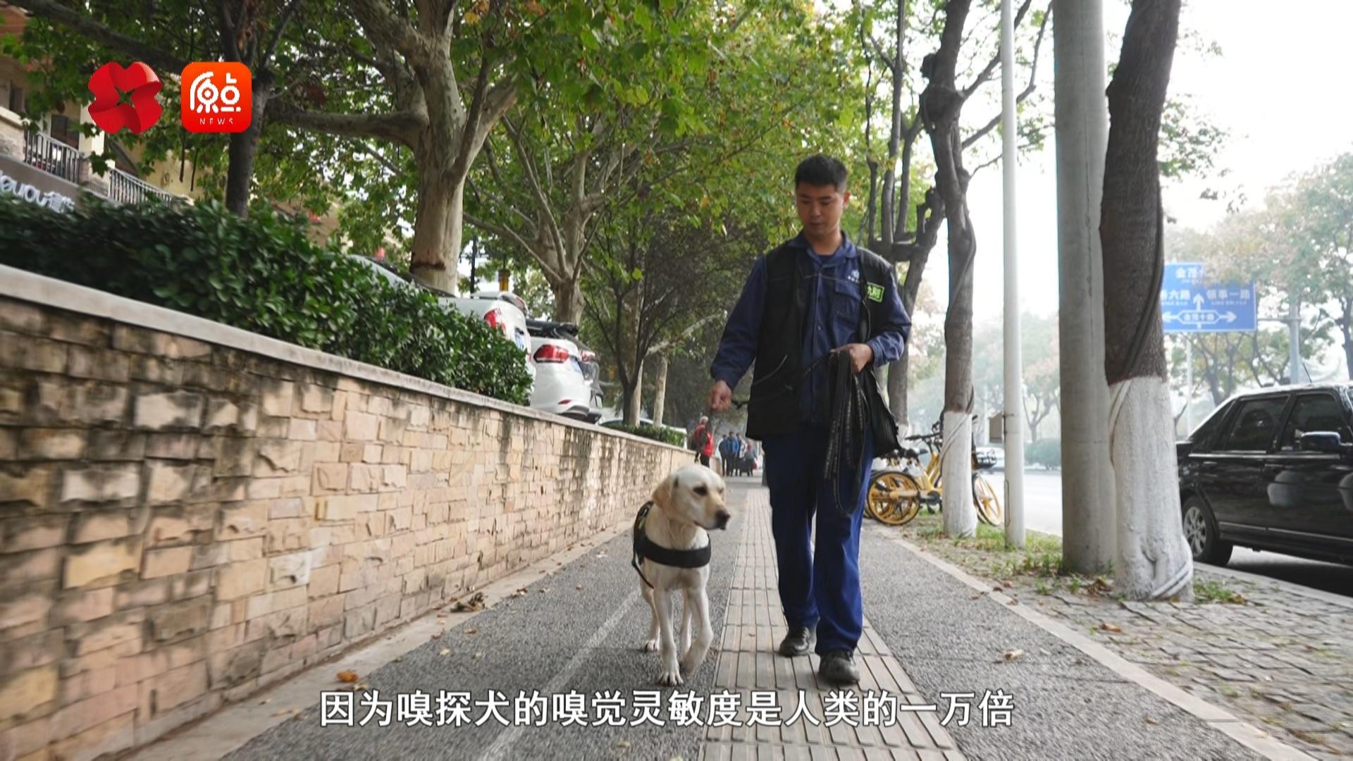 西安秦华燃气集团多措并举，全力保障冬季供气  第7张