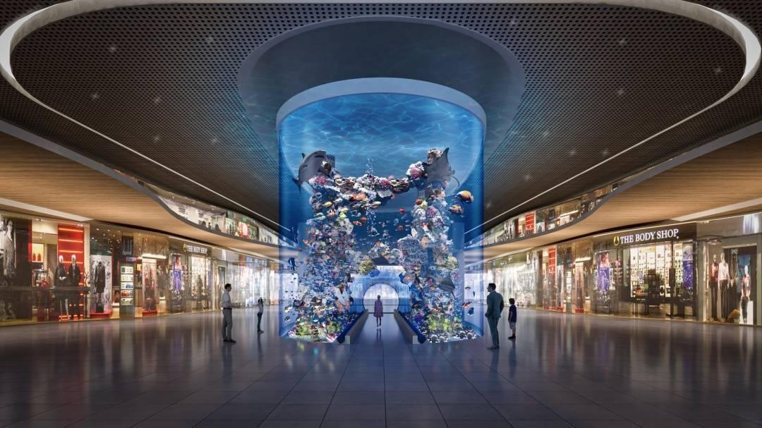 白云机场 T3 航站楼将建水族馆，2000 条鱼等你来观赏  第2张