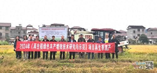 再生稻：一种两收三高五省，解决农村劳动力短缺，助力乡村产业振兴  第1张