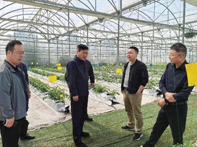 探秘滨州：大印智慧农场如何打造数智融合新标杆？  第1张