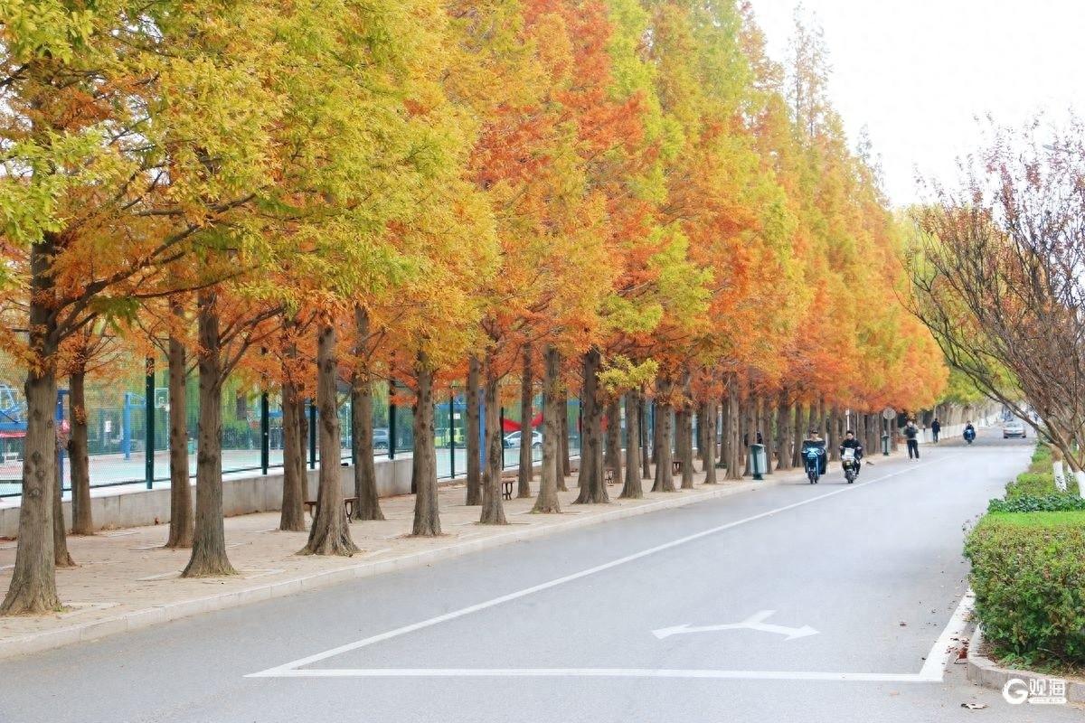 立冬暖出立夏感！未来四天全国大部波动升温，部分地区偏高 10℃以上  第1张