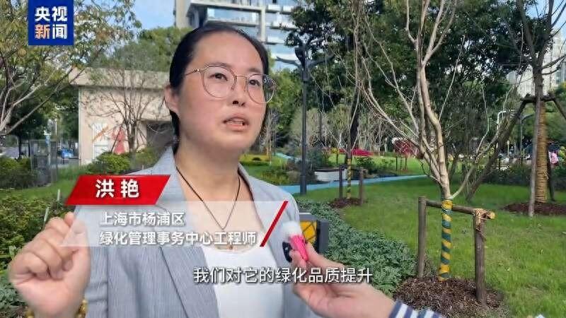 上海公园建设：从口袋公园到生境花园，打造绿色生活新风尚  第1张