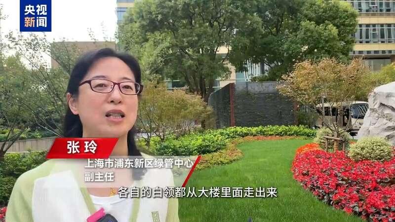 上海公园建设：从口袋公园到生境花园，打造绿色生活新风尚  第3张