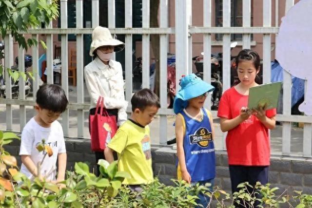徐汇区华泾镇：小小微创家们的丰收季，你知道他们经历了什么吗？