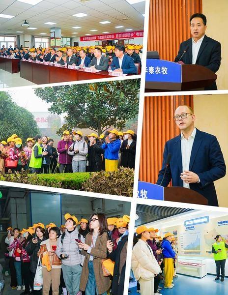 黄马甲携手帝斯曼-芬美意,共筑蛋品健康安全防线 第5张 黄马甲携手帝斯曼-芬美意,共筑蛋品健康安全防线 第5张