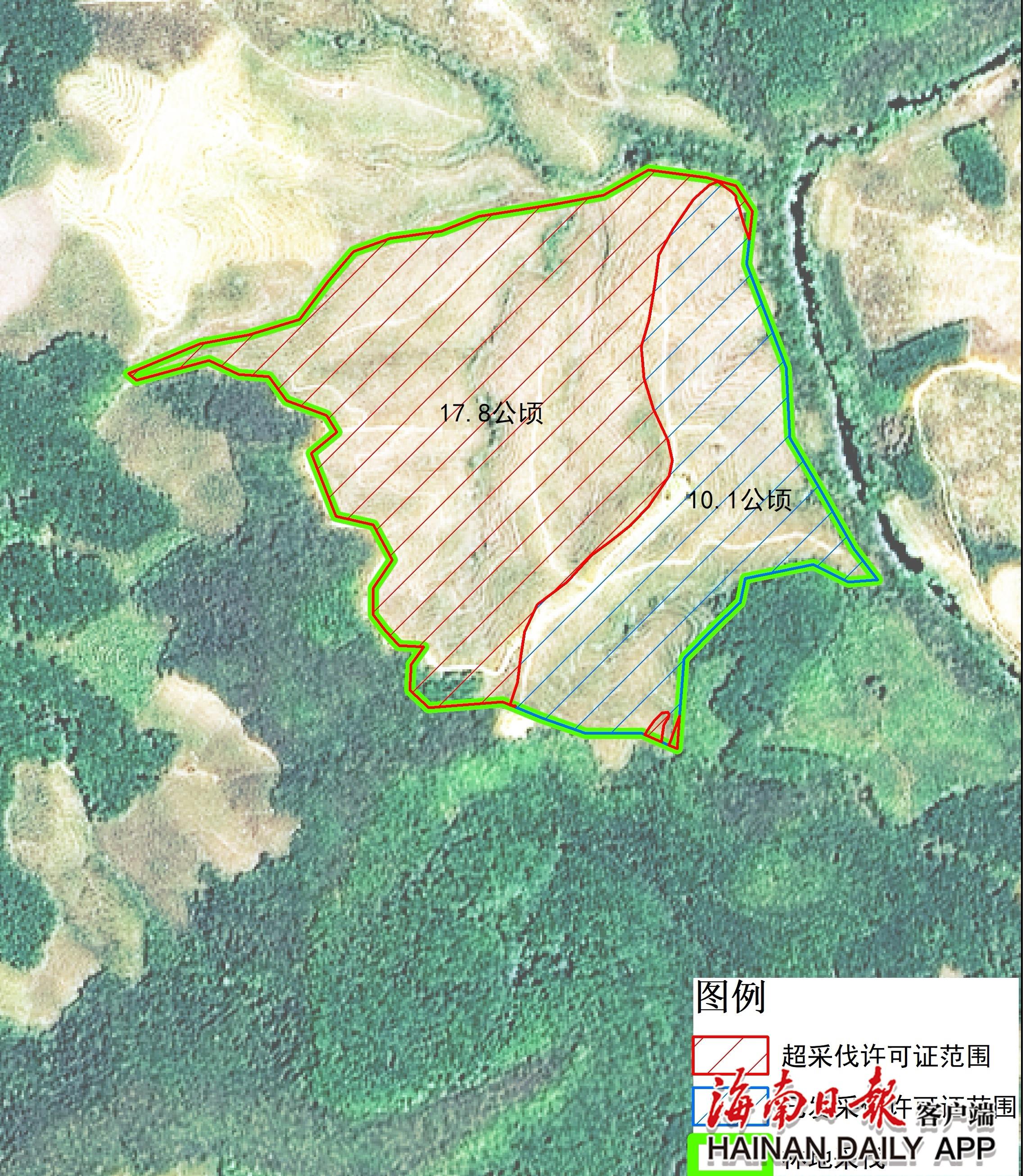 海南多地林地监管缺位，毁林问题频发，真相究竟如何？  第1张