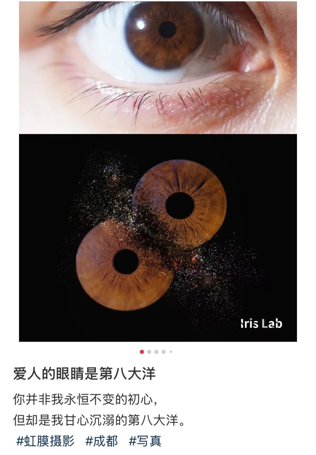 虹膜写真：半小时就能取片的艺术，还是生物识别的误区？  第2张