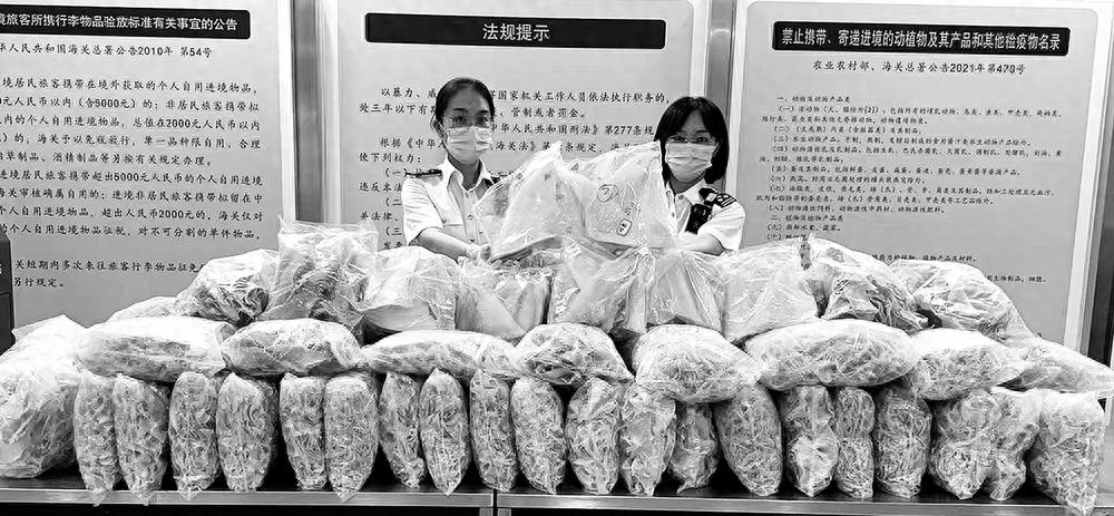 惊！泉州海关查获80公斤濒危鲨鱼翅，背后真相令人  第1张