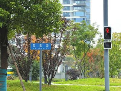 成都街道名竟藏诗意密码，揭秘古诗词中的地名秘密  第3张