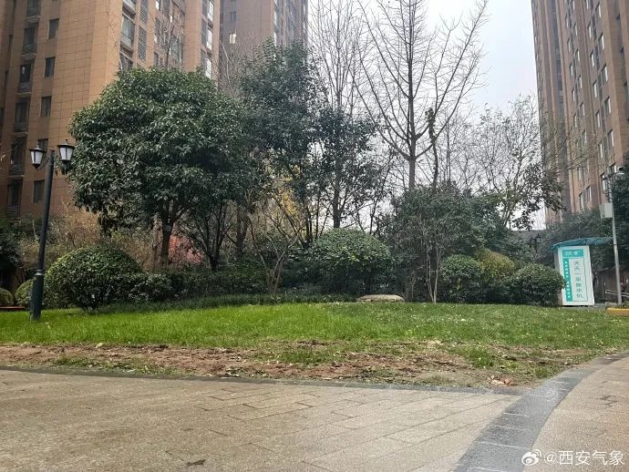 西安突降雨雪，大风蓝色预警！市民出行需警惕道路湿滑与能见度低  第3张