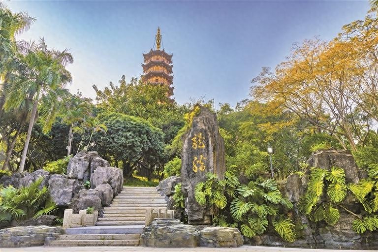 32岁龙华公园焕新归来，颜值爆表！居民争相打卡，你还在等什么？