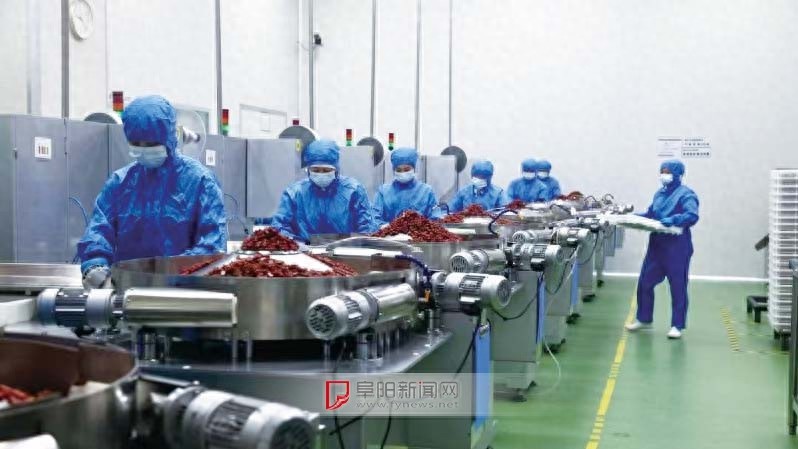 长三角区域功能营养食品高峰论坛闭幕，颍东区签约多个重磅项目，未来发展潜力无限  第1张