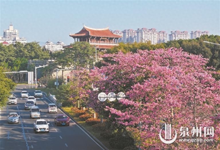冷空气来袭！泉州气温骤降，棉服裹紧，预防感冒，注意防火安全  第1张