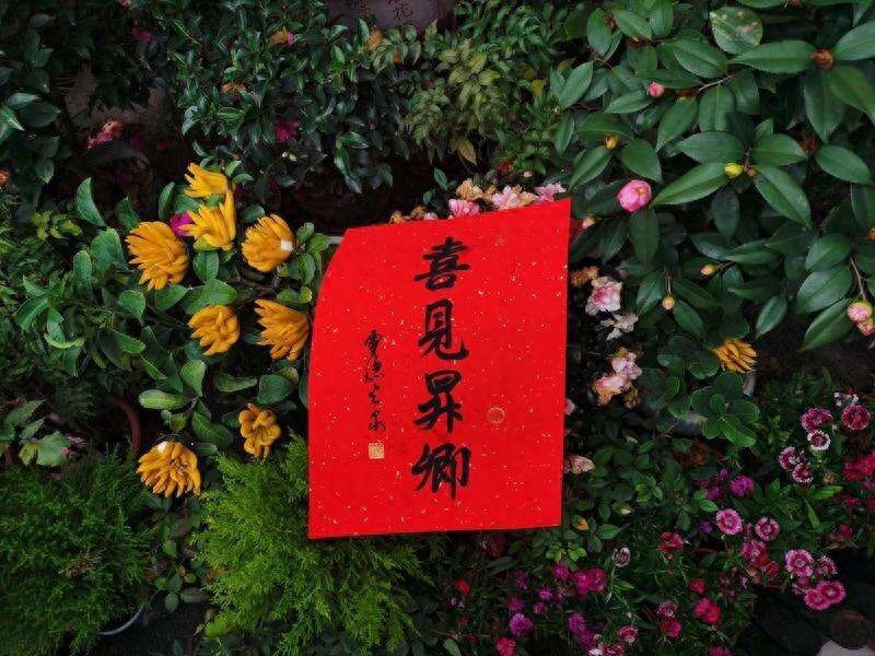 2025蛇年祈福年历揭秘：灵隐寺方丈光泉法师亲笔题字，寓意深远，你绝对不能错过  第1张