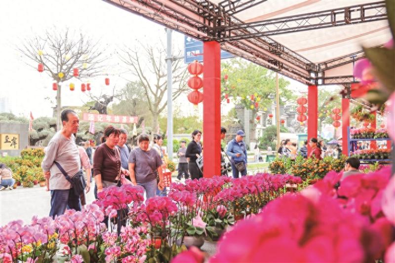 2025佛山迎春花市大揭秘：30场沉浸式游园灯会，年味十足