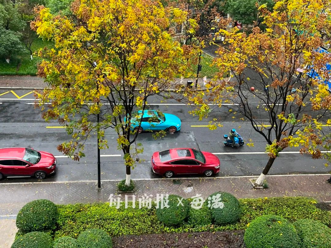 杭城湿冷魔法攻击来袭！最低气温仅2.7℃，阳光何时才能批量上线？  第1张