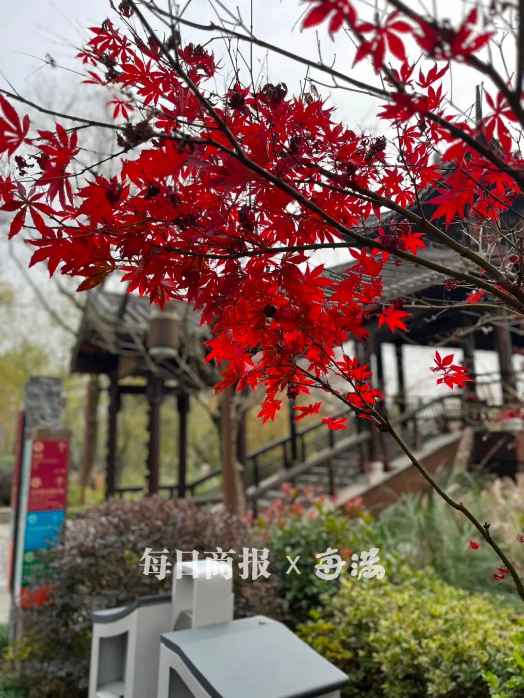 杭城湿冷魔法攻击来袭！最低气温仅2.7℃，阳光何时才能批量上线？  第4张